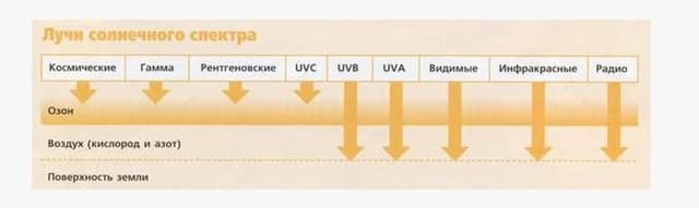 Эффективность фотобиологической терапии для лечения кожных заболеваний