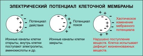 Процедура микротоки